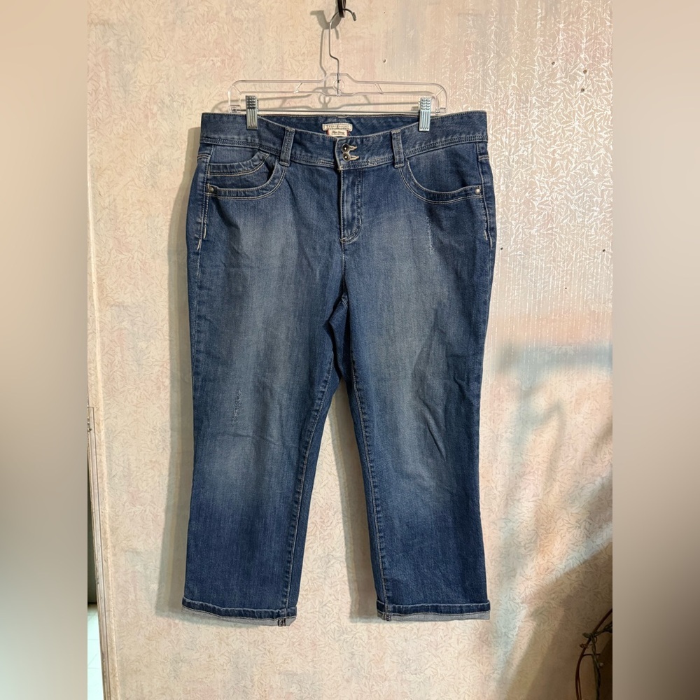 Tommy Hilfiger Hope Skinny Classic Rise Cropped Jeans in Dark Blue Wash, Sz 14